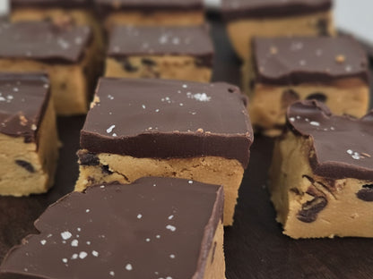 Vegan Peanut Butter Chocolate Protein Bars