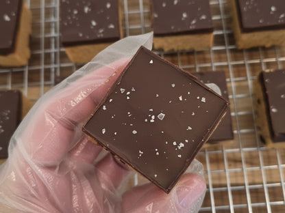 Vegan Peanut Butter Chocolate Protein Bars