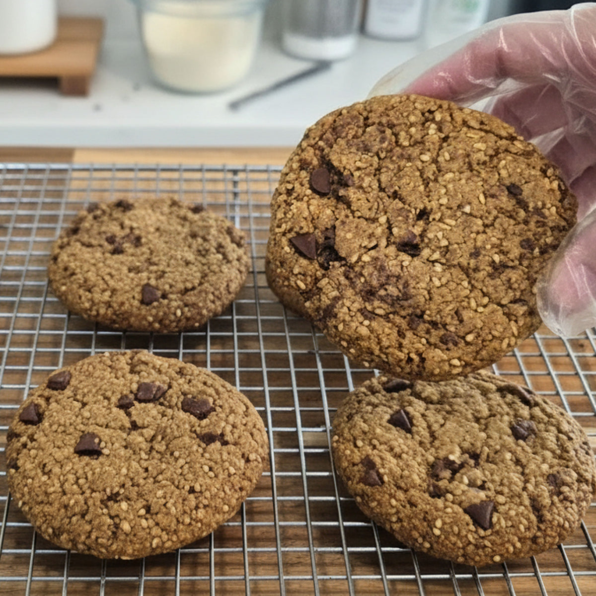 Four vegan steel oat chocolate chip cookies on a metal cooling rack, with a hand wearing a clear plastic glove lifting one cookie in a kitchen setting.